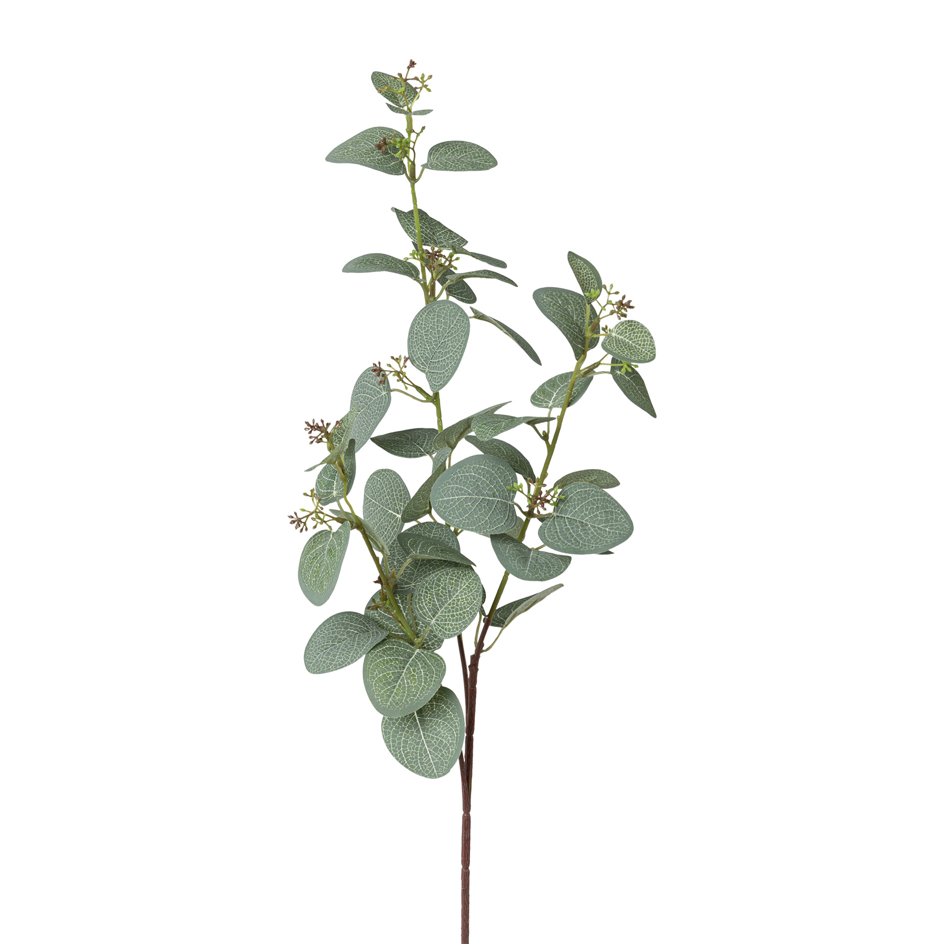 Dekopflanze Eukalyptuszweig EUKALYPTUS