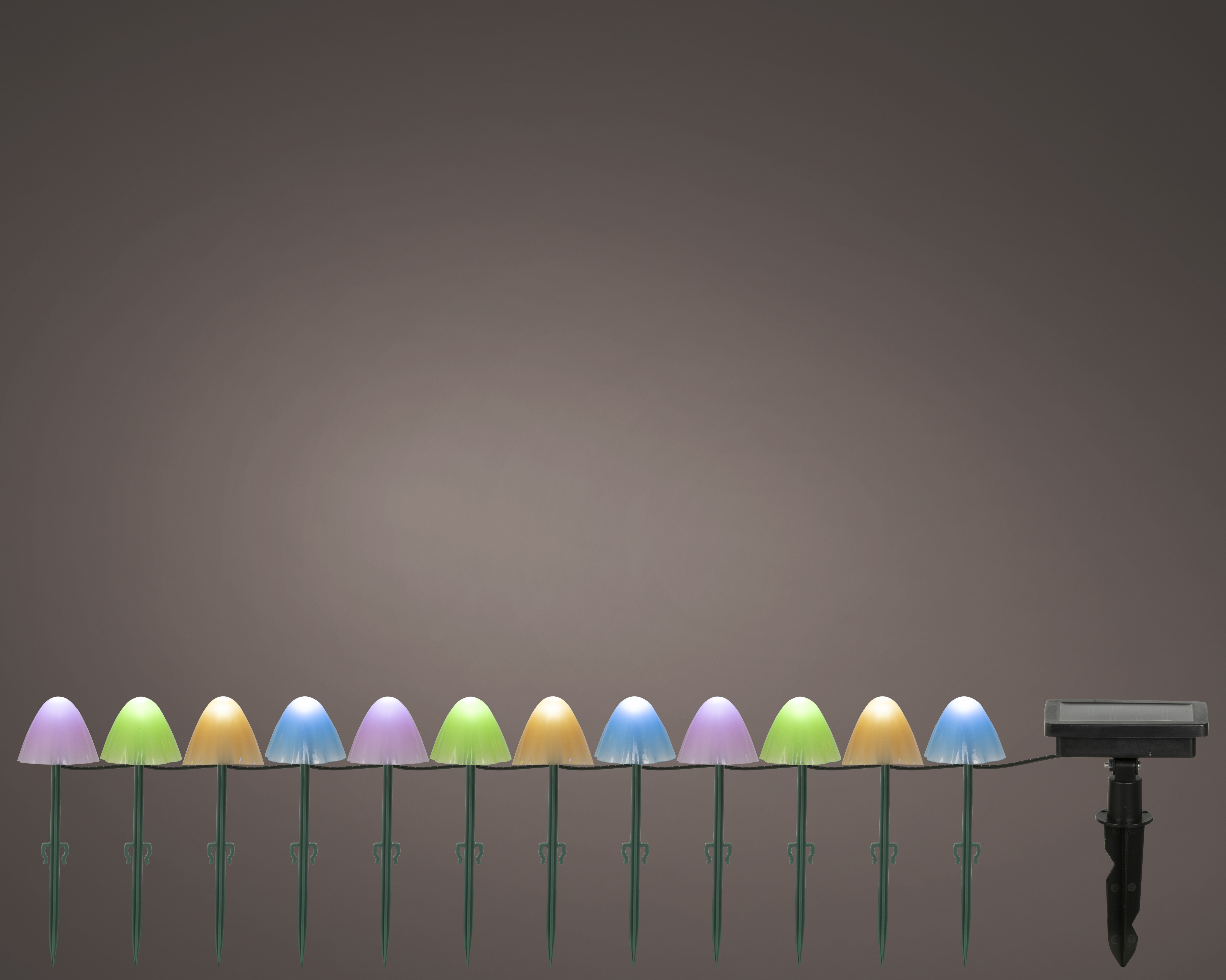 Solar Pilze Stabbeleuchtung NEON