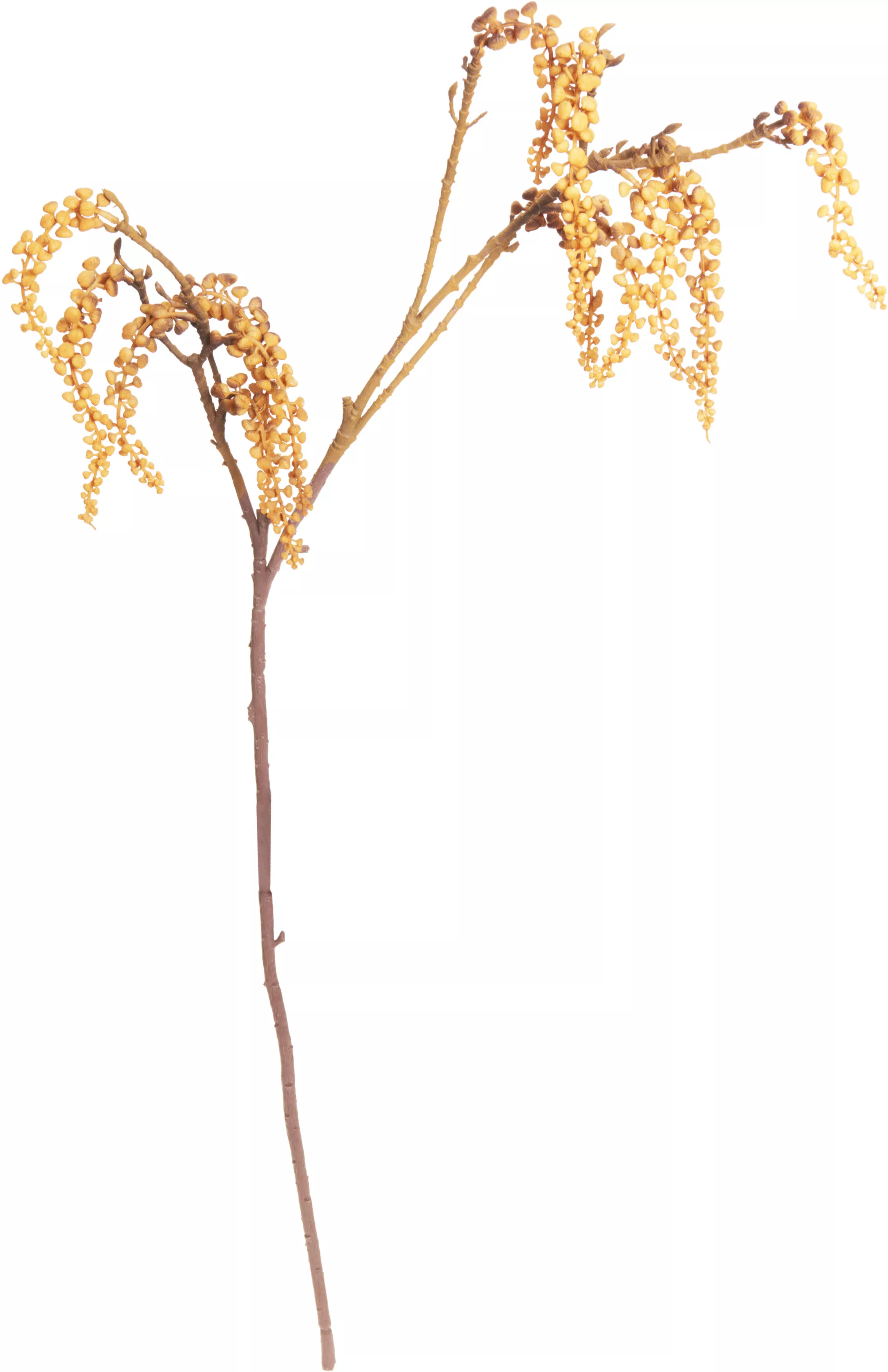 Herbstzweig HERBST Herbstzweig HERBST
