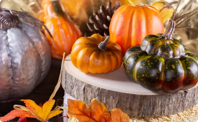Schaurig-schöne Herbstdeko für Halloween Schaurig-schöne Herbstdeko für Halloween