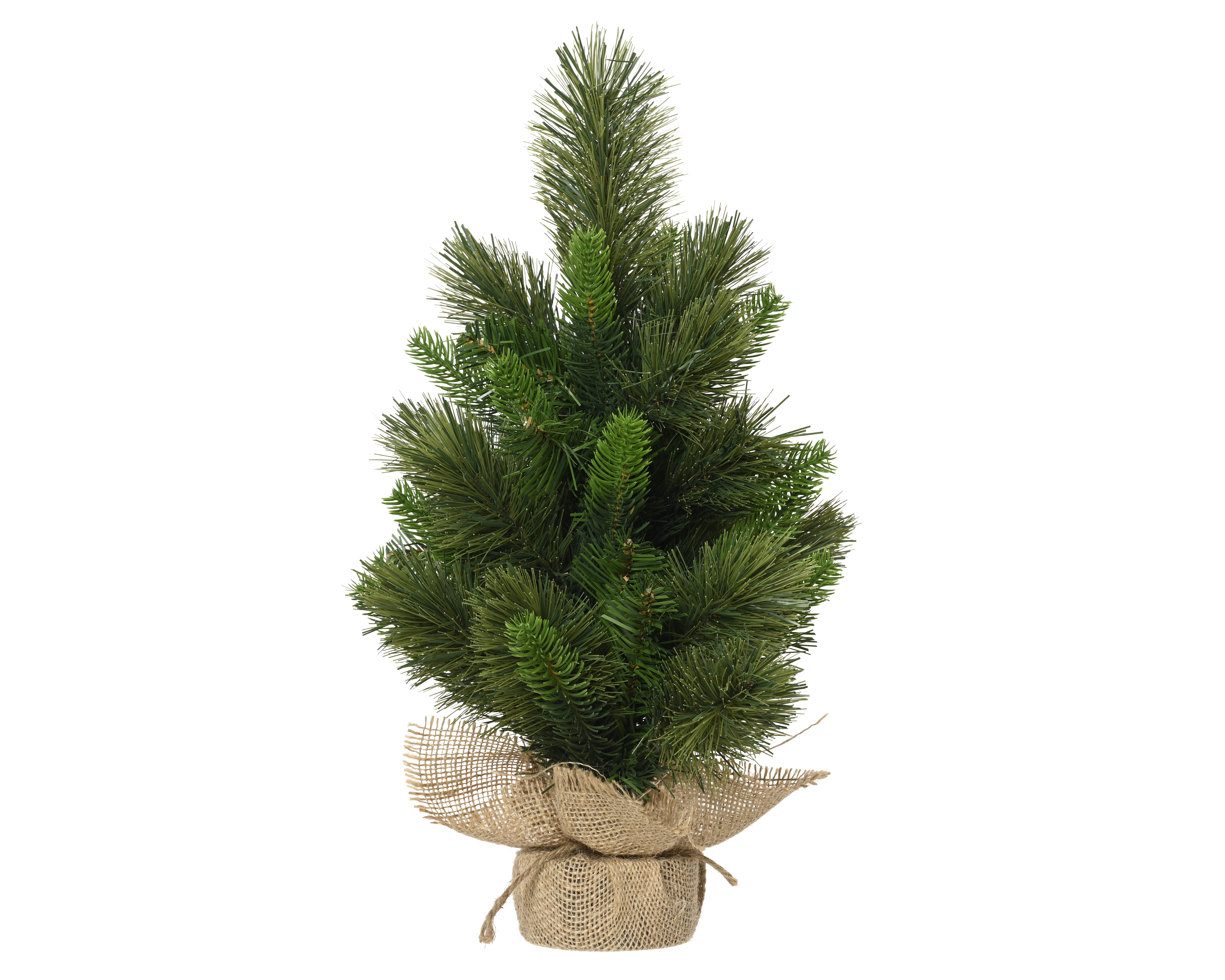 Tannenbaum FOREST Tannenbaum FOREST