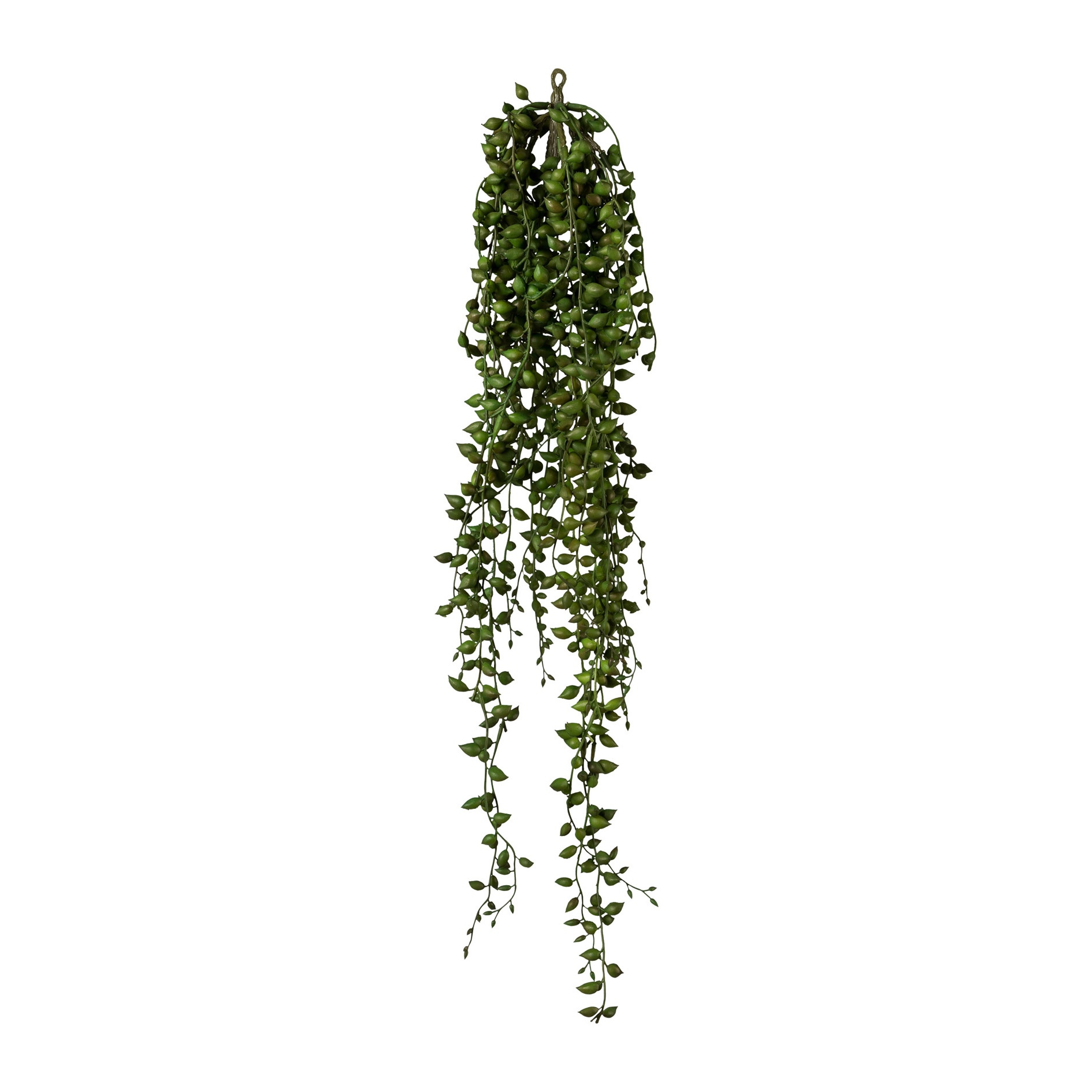Deko-Pflanze SENECIO Deko-Pflanze SENECIO