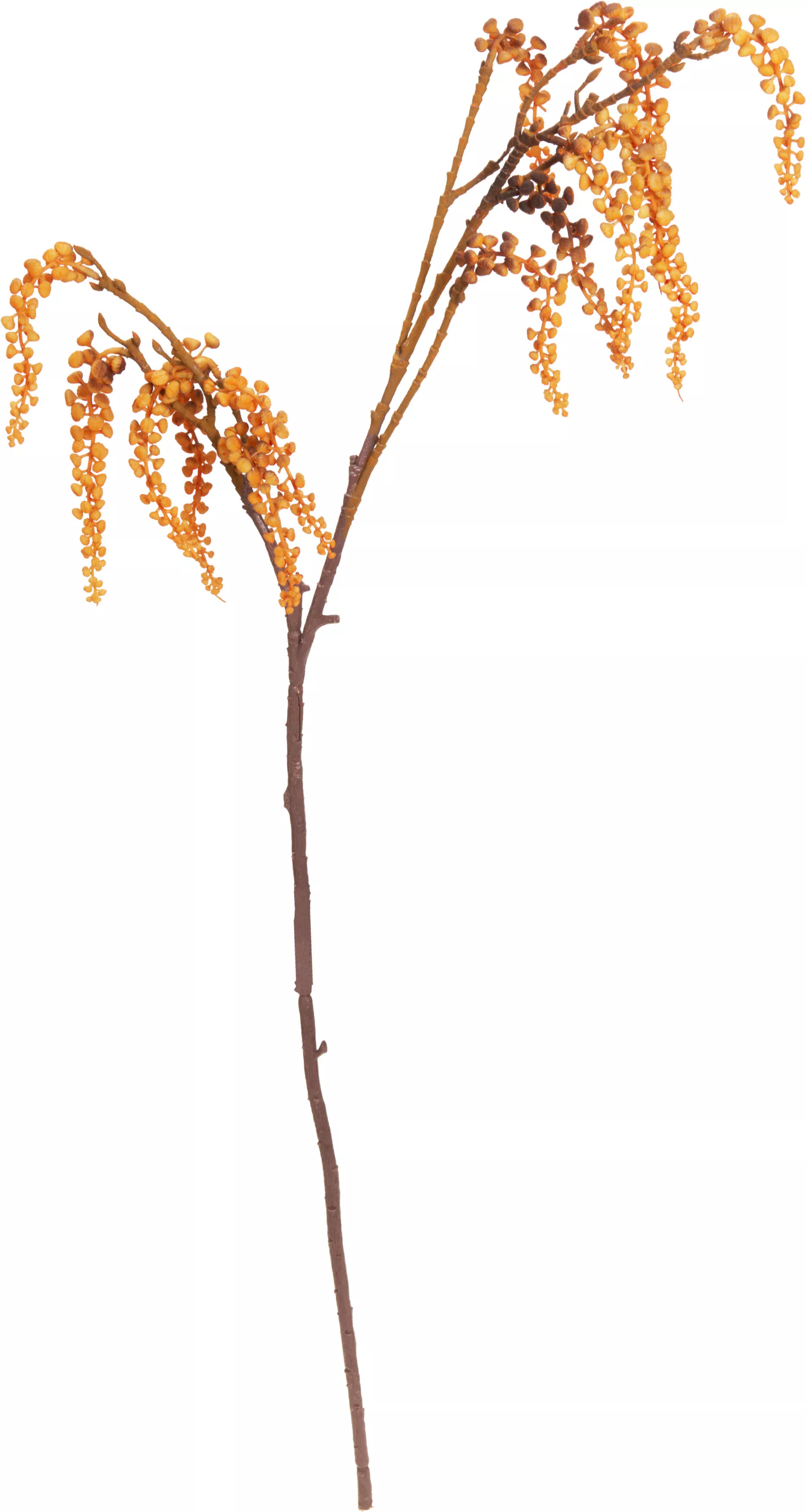 Herbstzweig HERBST Herbstzweig HERBST