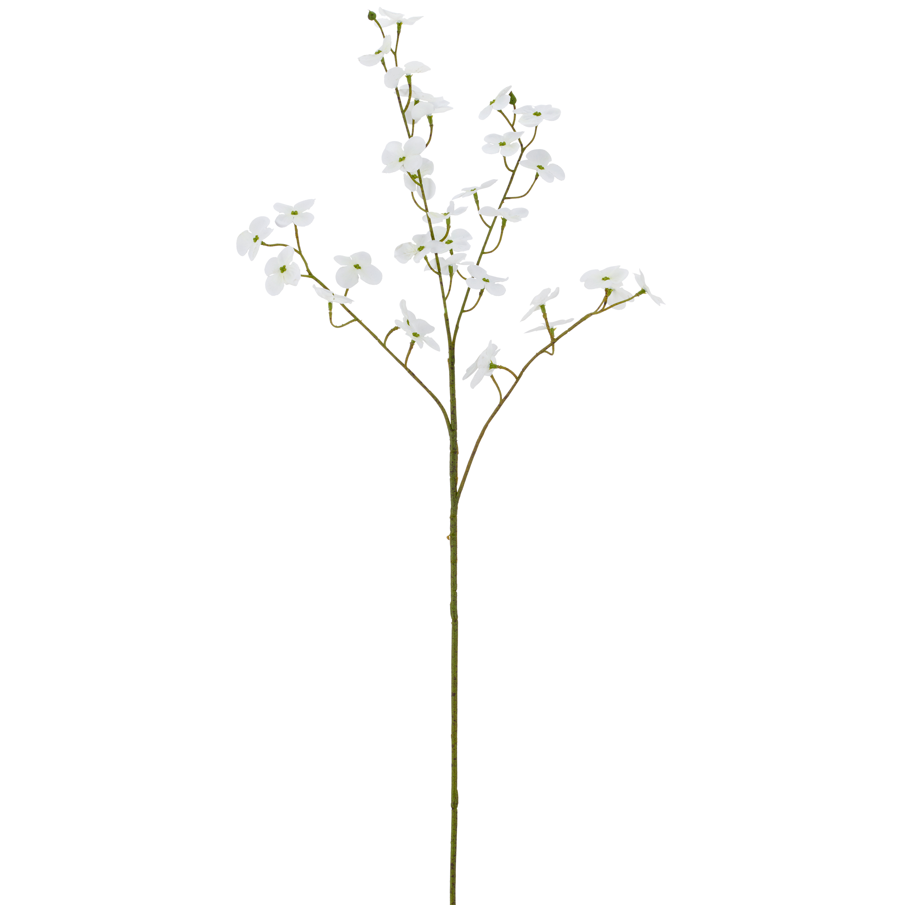 Cornuszweig REAL TOUCH