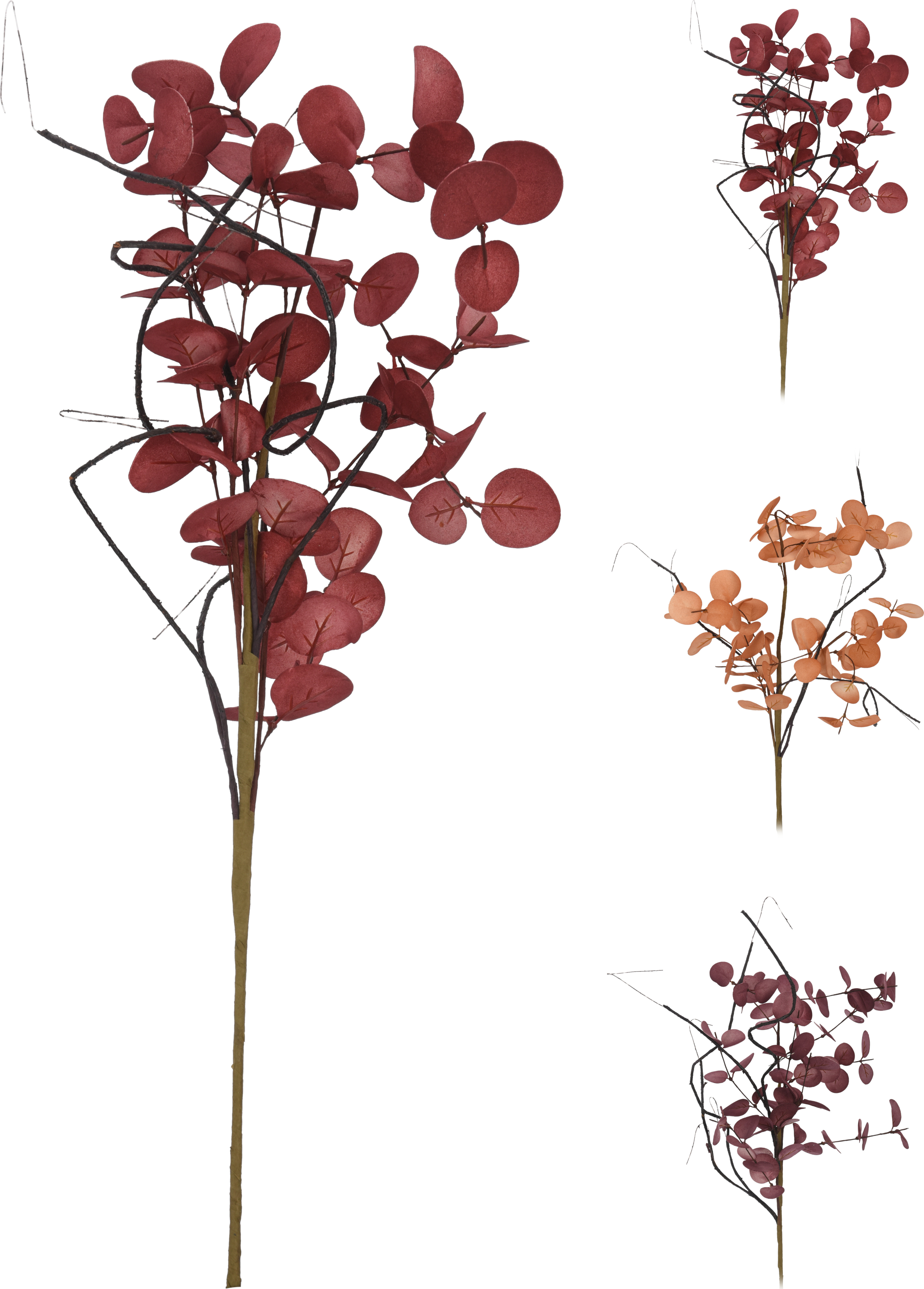 Dekozweig  Herbst  HERBST Dekozweig  Herbst  HERBST