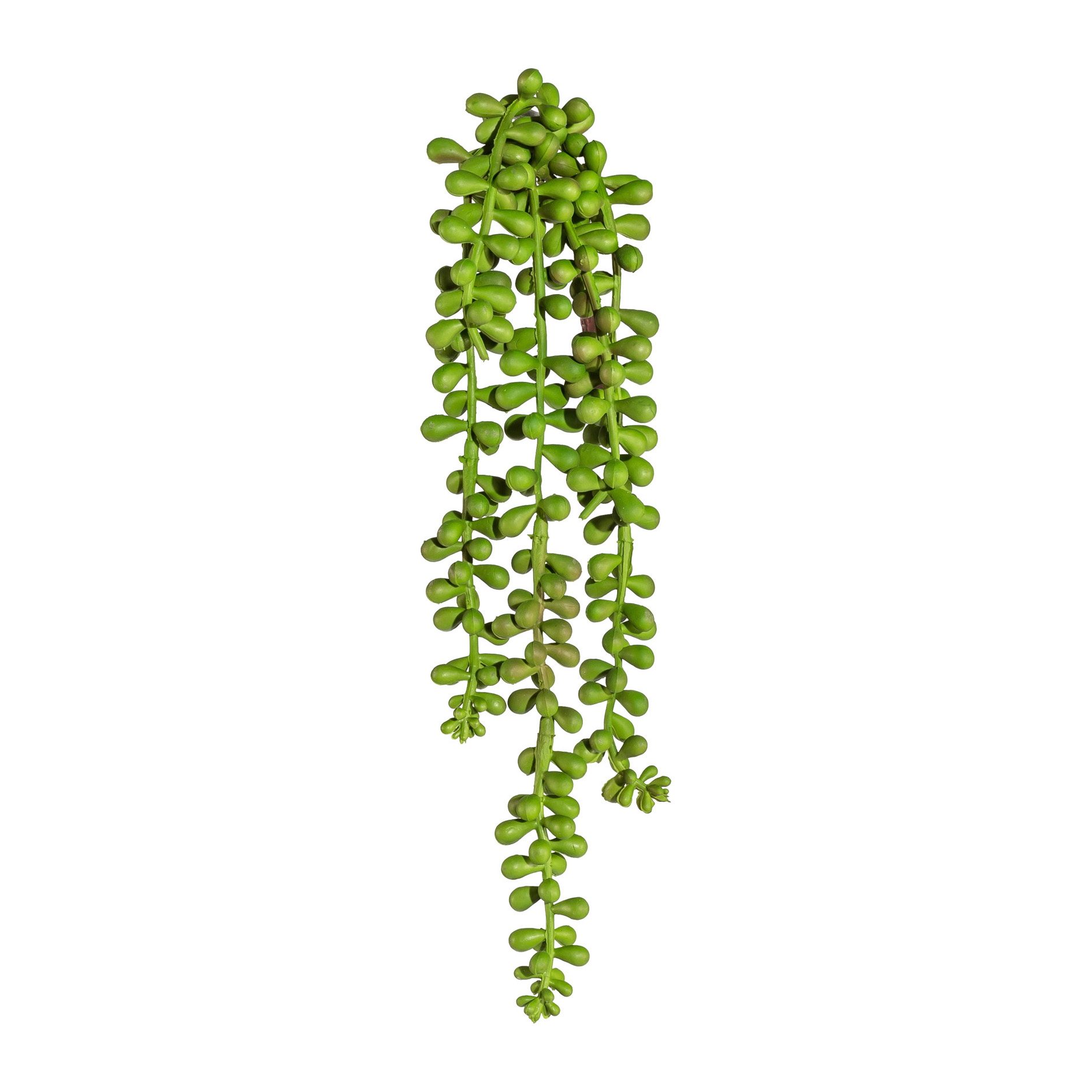 Dekopflanze Hängezweig SEDUM