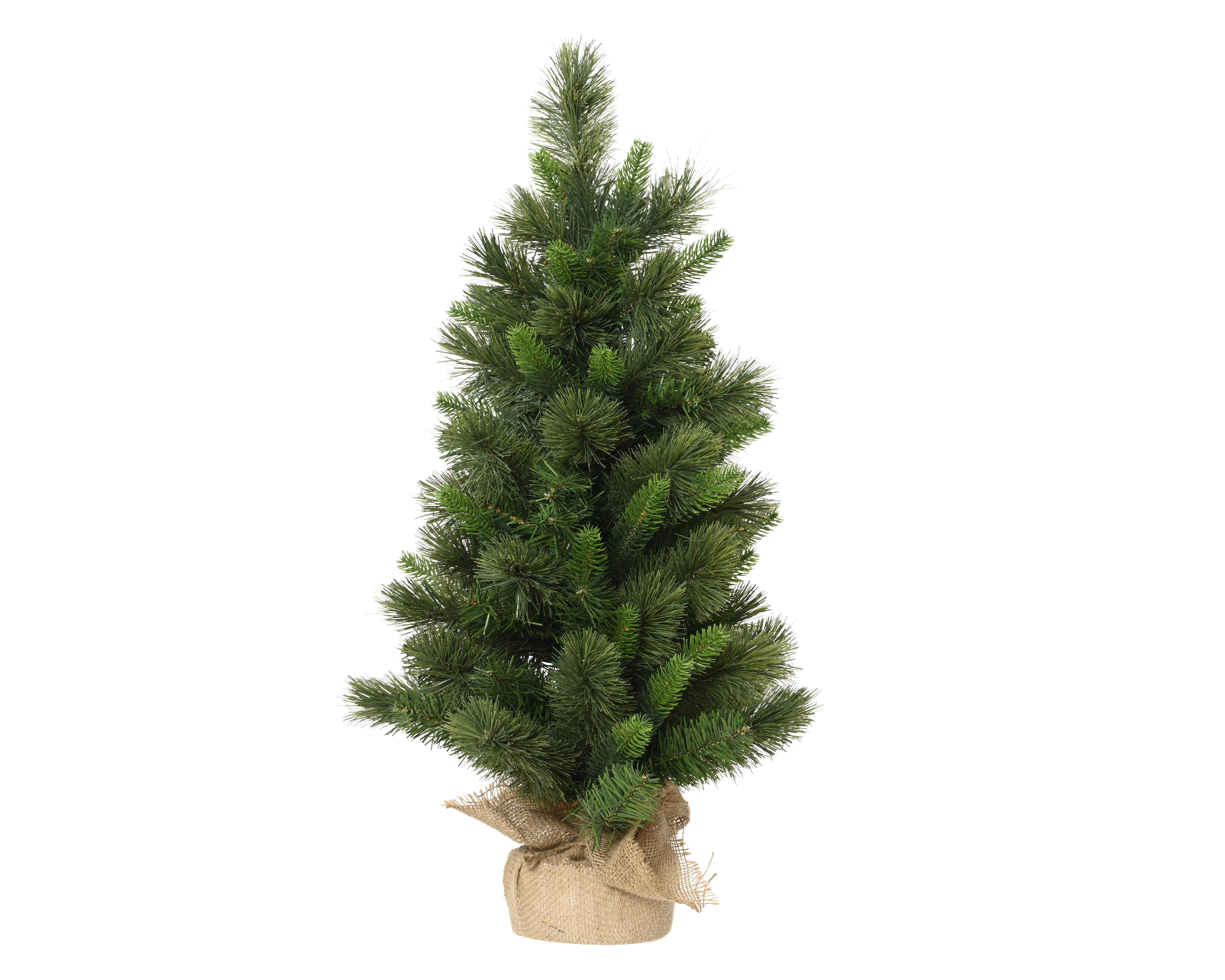 Tannenbaum FOREST Tannenbaum FOREST
