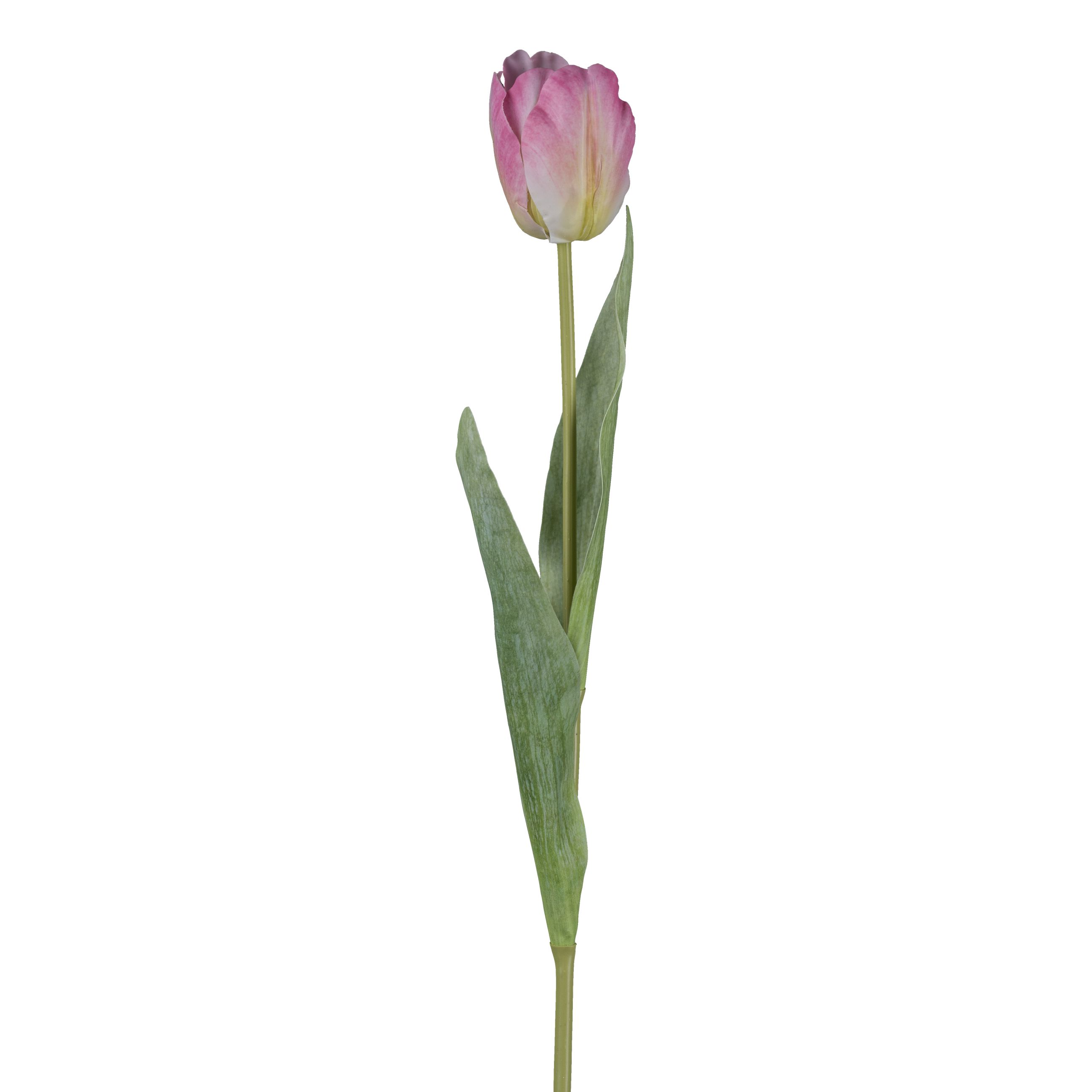 Deko-Blume TULPE
