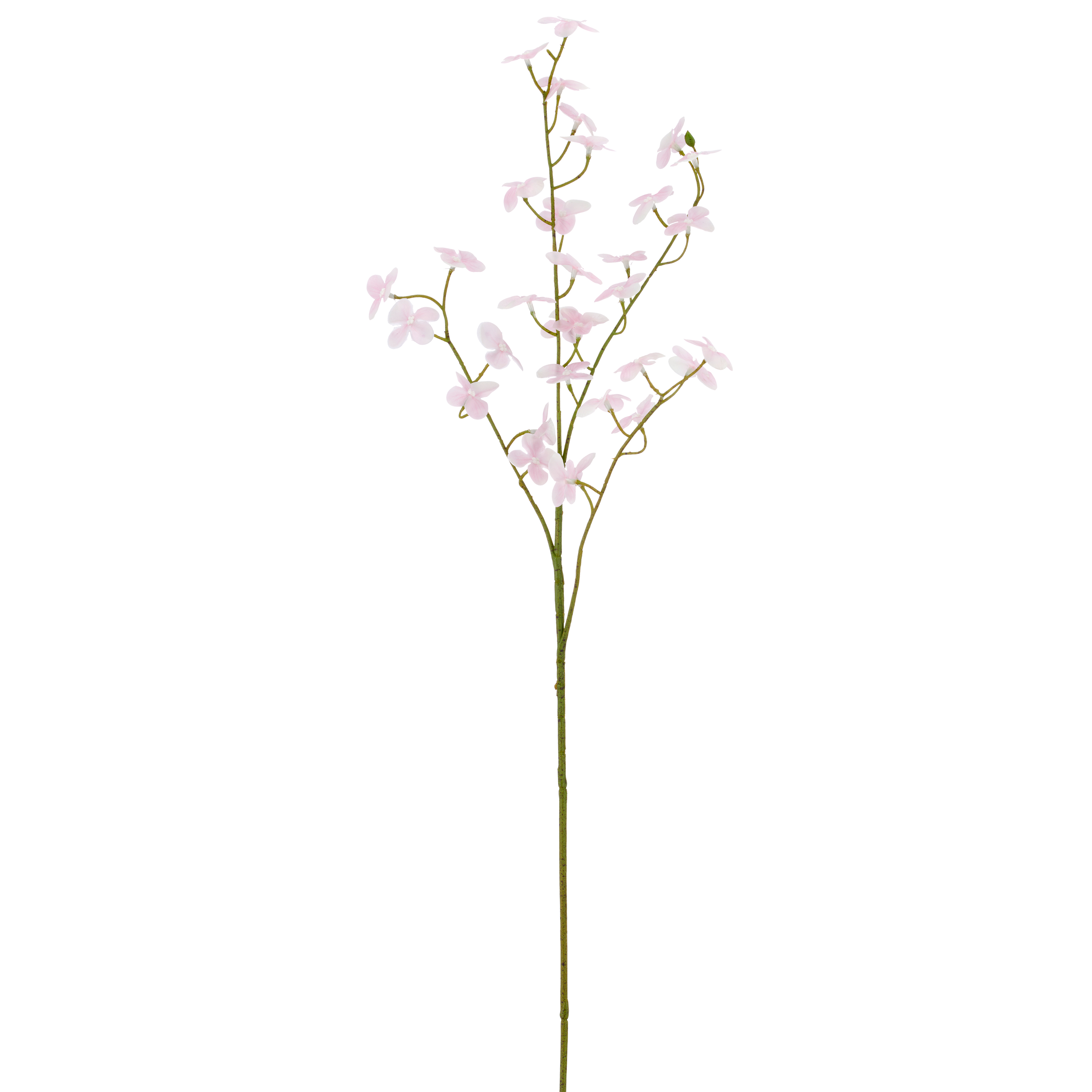 Cornuszweig REAL TOUCH