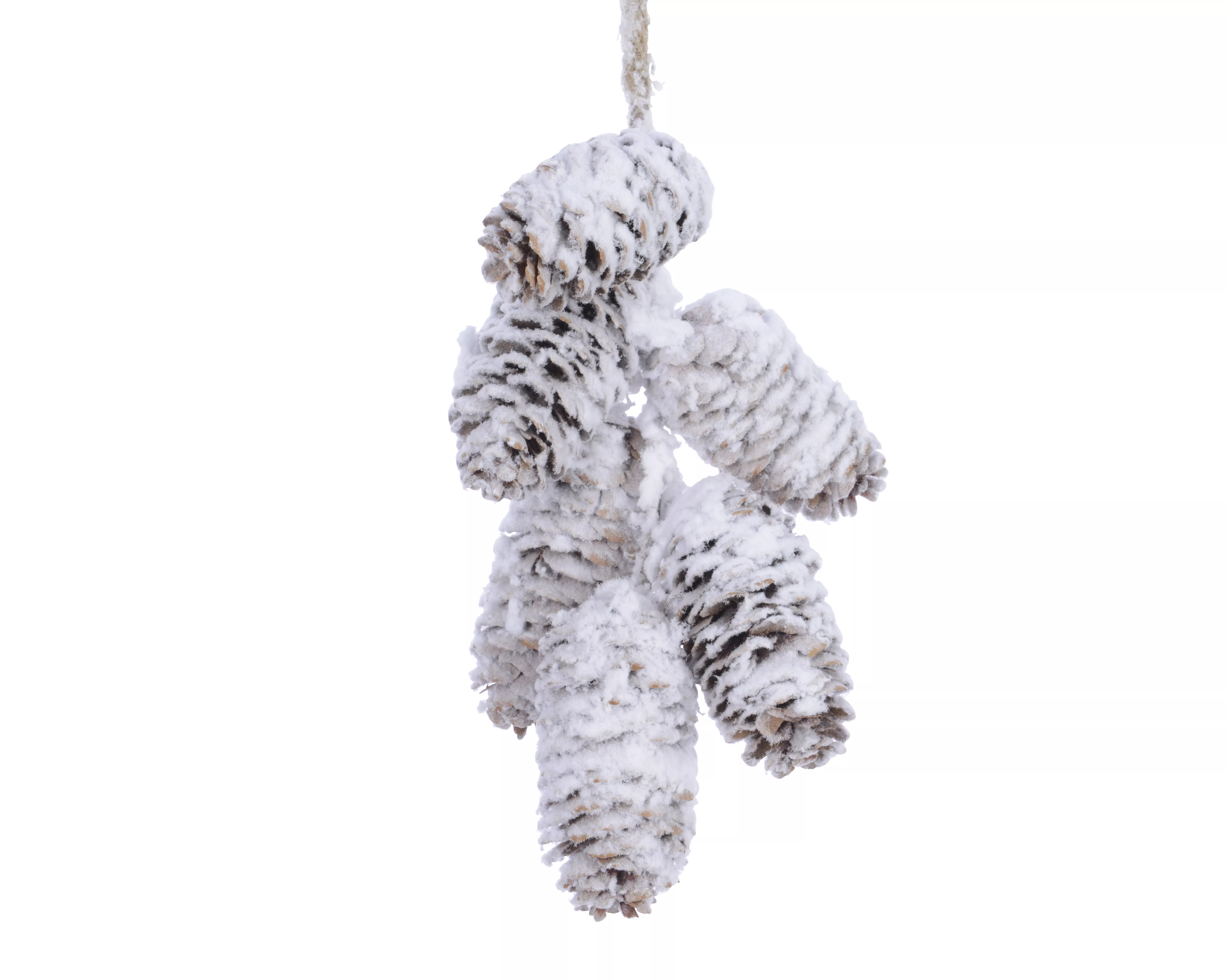 Hänger Zapfen Glitter  SNOW