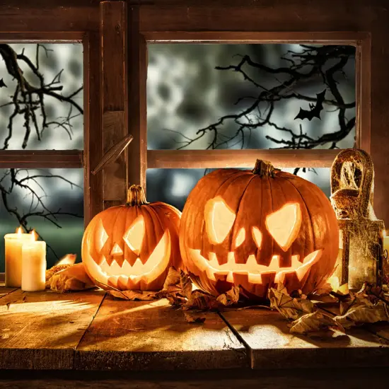 Schaurig schöne Halloweendeko. Hier entdecken>