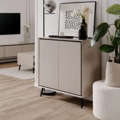 Schränke für das Wohnzimmer