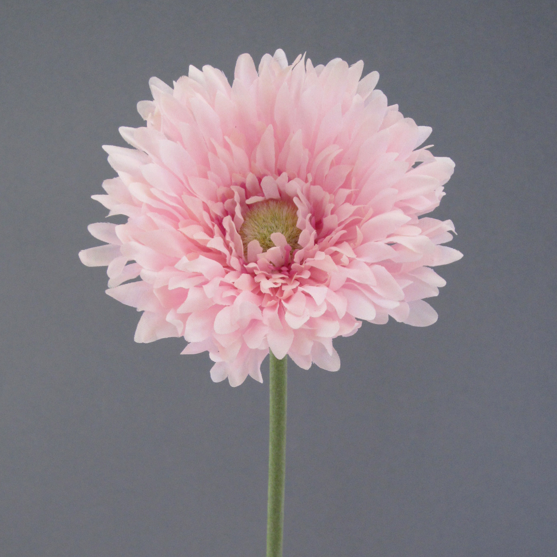Deko-Blume gefüllt GERBERA | 434242-0