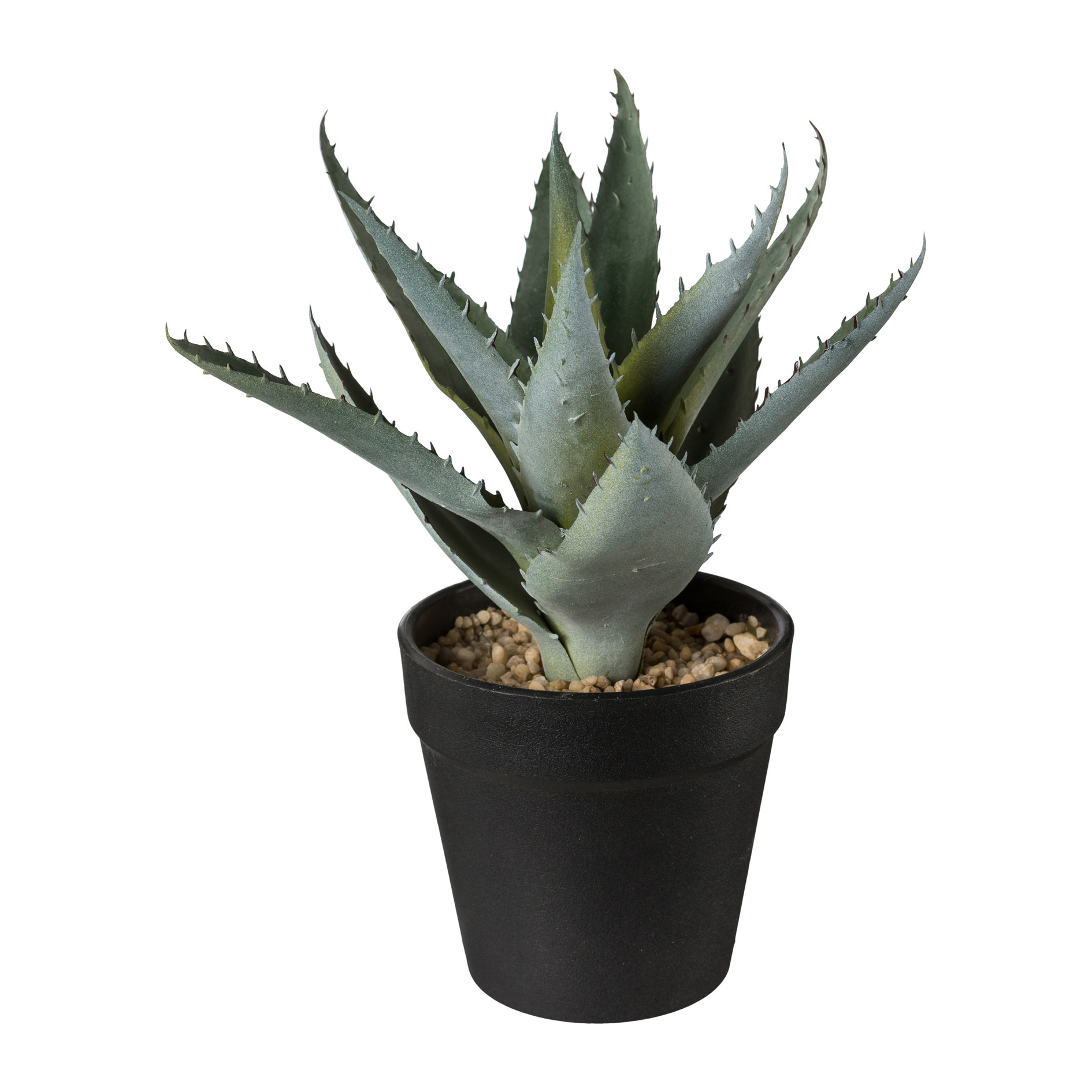 Deko-Pflanze im Topf 20cm ALOE Deko-Pflanze im Topf 20cm ALOE