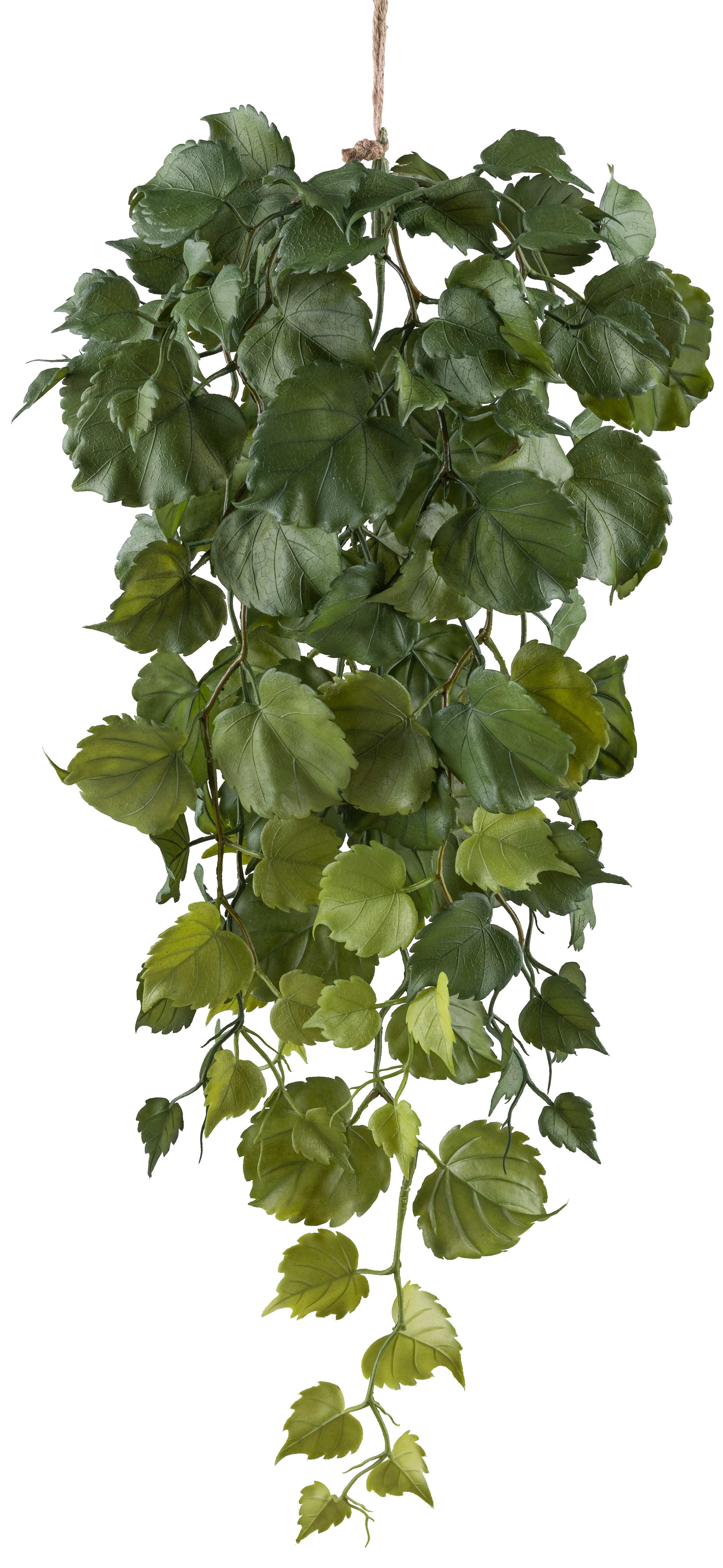 Tilia Blatthänger FLOWERS Tilia Blatthänger FLOWERS
