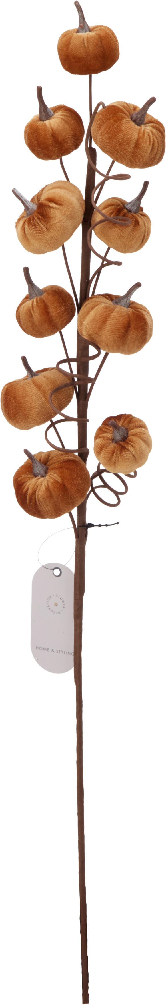 Herbstzweig Blätter HERBST
