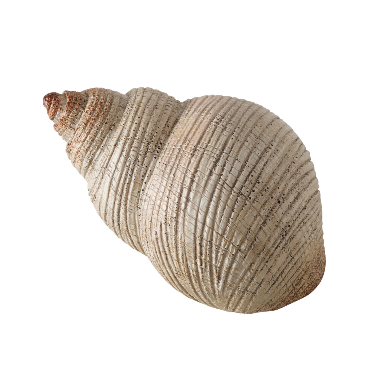 Dekoaufsteller Muschel BIGO