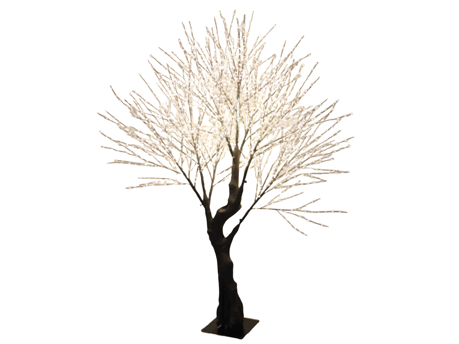Baum mit über 3000 LED´s FLASH Baum mit über 3000 LED´s FLASH