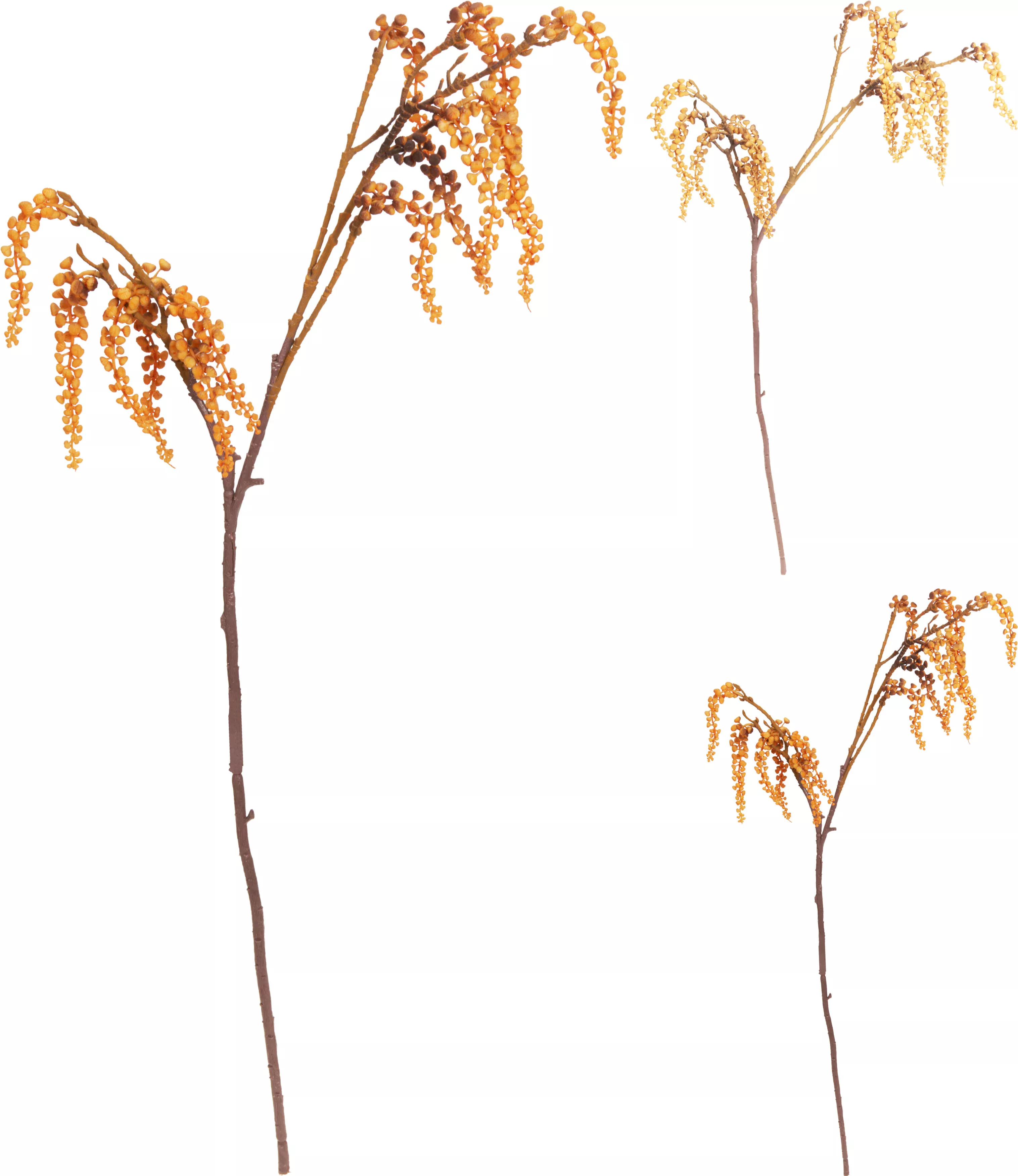 Herbstzweig  HERBST