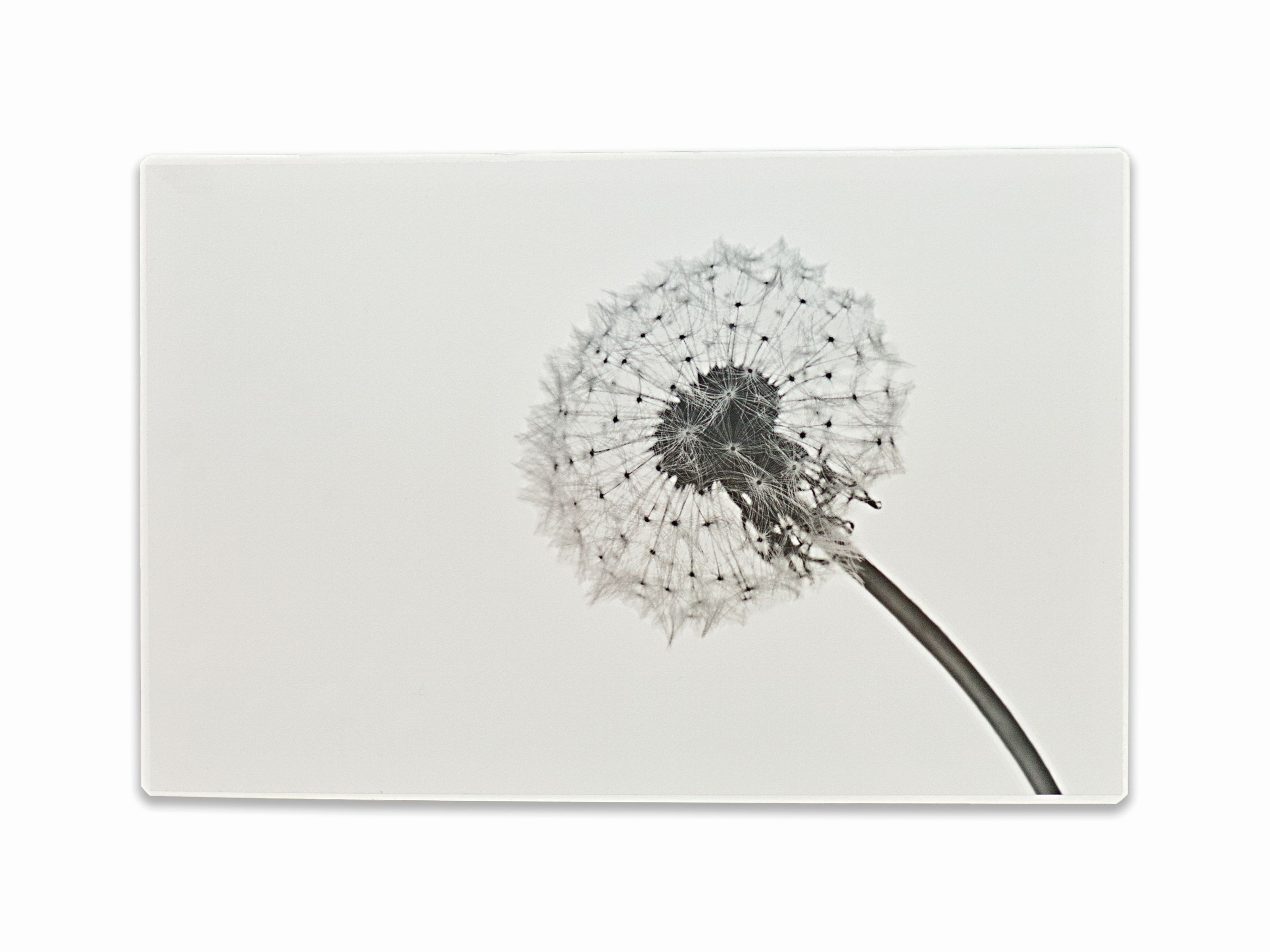 Schlüsselkasten PUSTEBLUME
