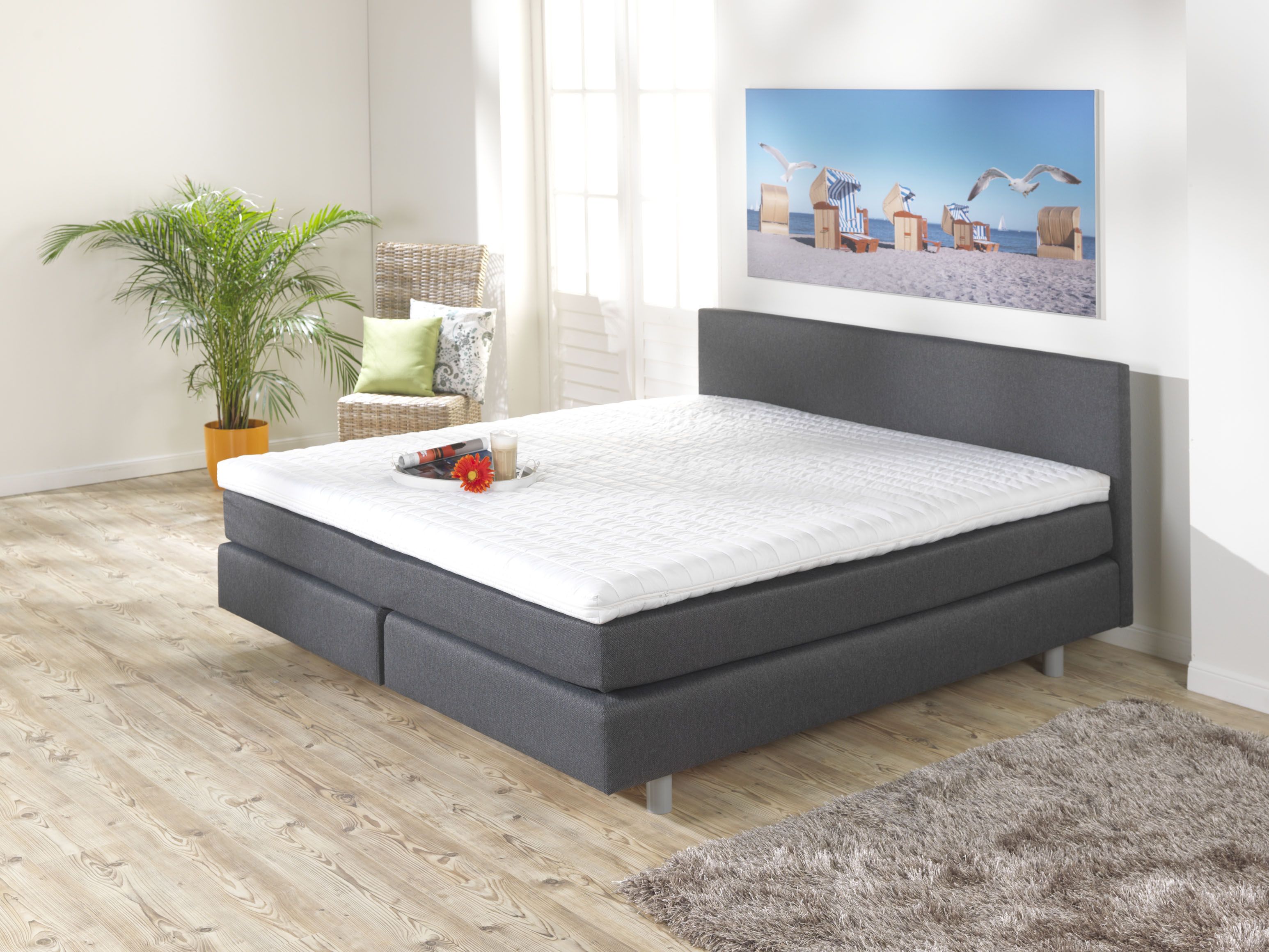 Boxspringbett mit Mikrofaserbezug in dunkelgrau, 180 x 200 cm