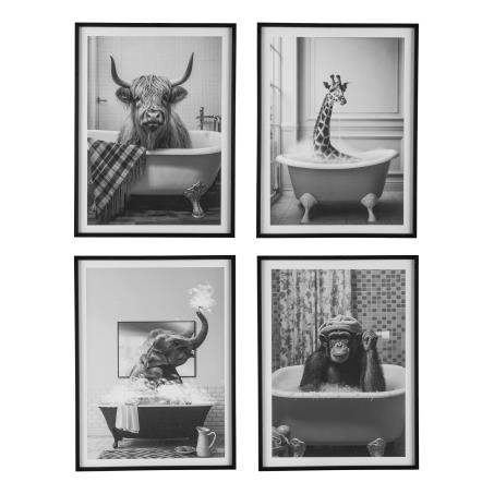 Bild Tiere in Badewanne ANIMAL FREAKY Bild Tiere in Badewanne ANIMAL FREAKY