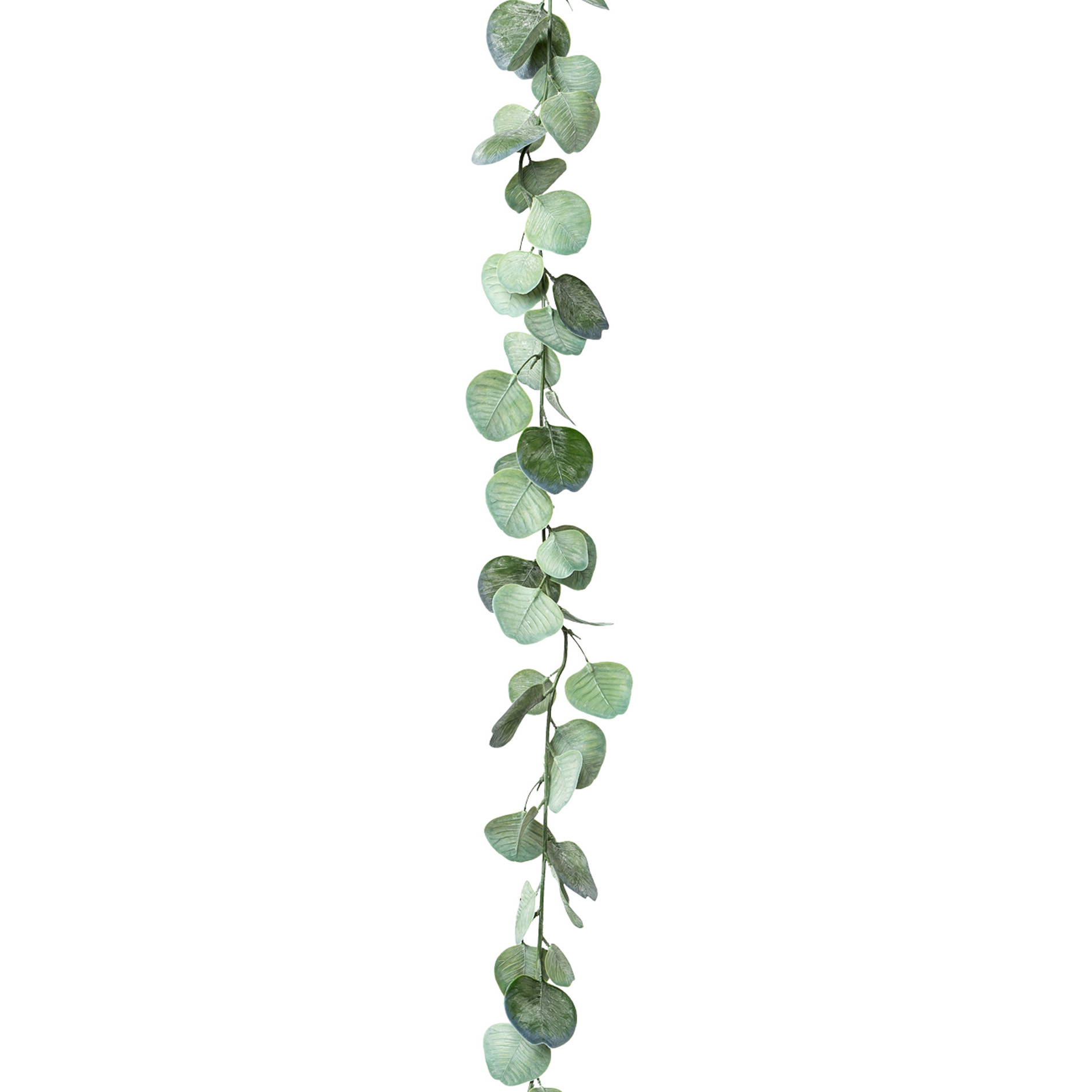 Dekopflanze Eukalyptusgirlande EUKALYPTUS Dekopflanze Eukalyptusgirlande EUKALYPTUS