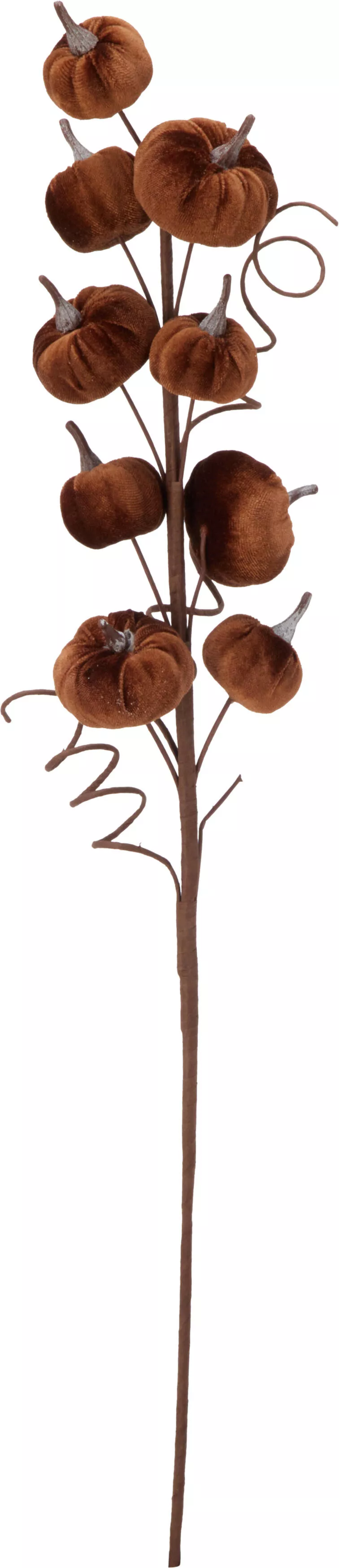 Herbstzweig Blätter HERBST Herbstzweig Blätter HERBST