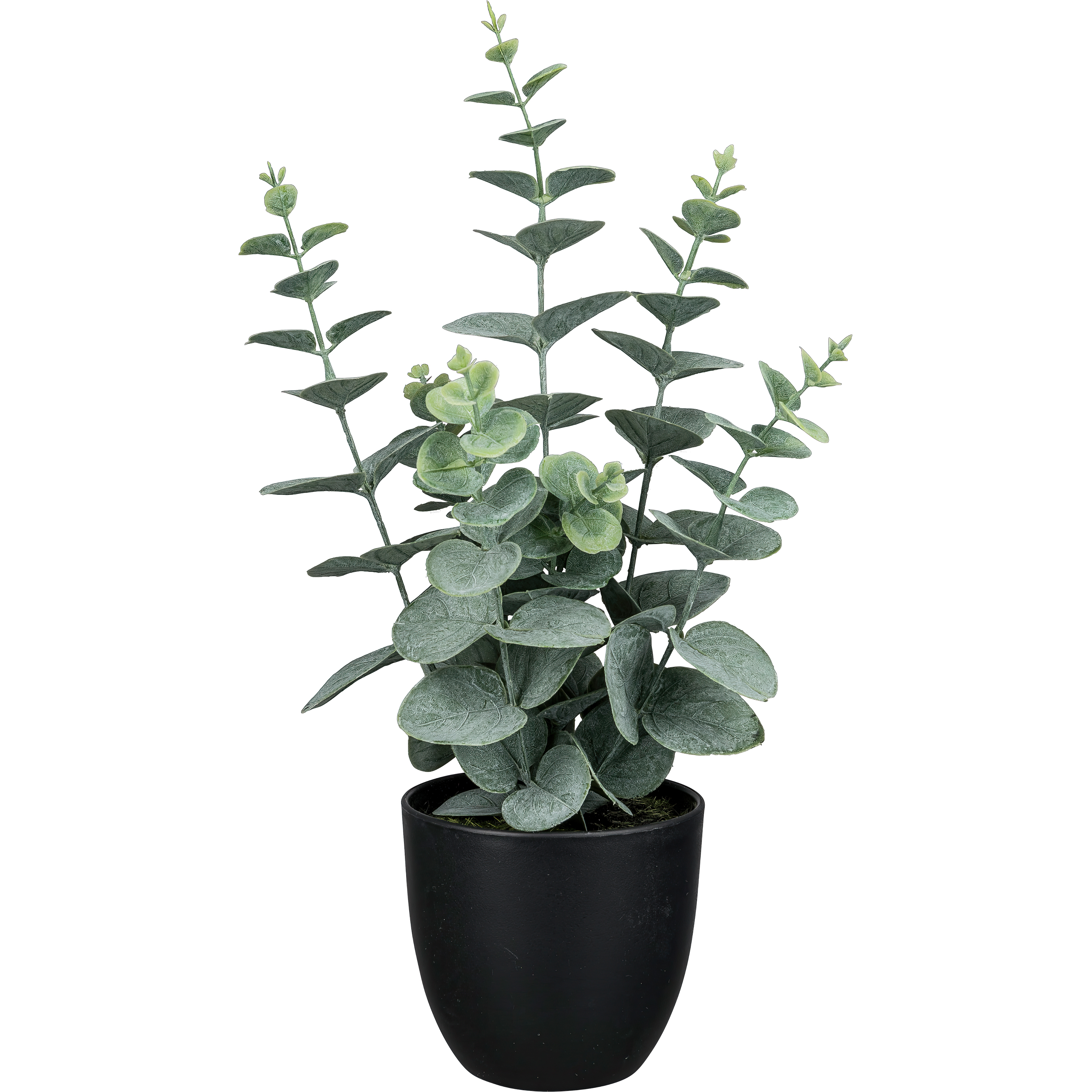 Kunstpflanze im Topf EUKALYPTUS